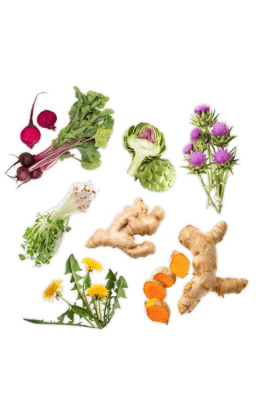 fruits ingredients