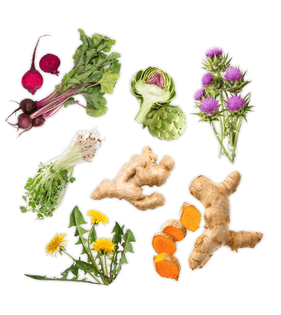 fruits ingredients